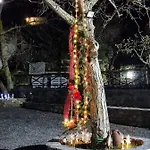 Malevos Traditional Agios Petros (Arcadia)