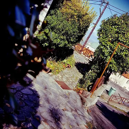 Malevos Traditional Homestay *