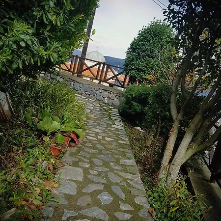 Pansiyon Malevos Traditional *