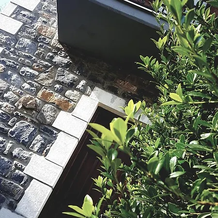 Homestay Malevos Traditional *